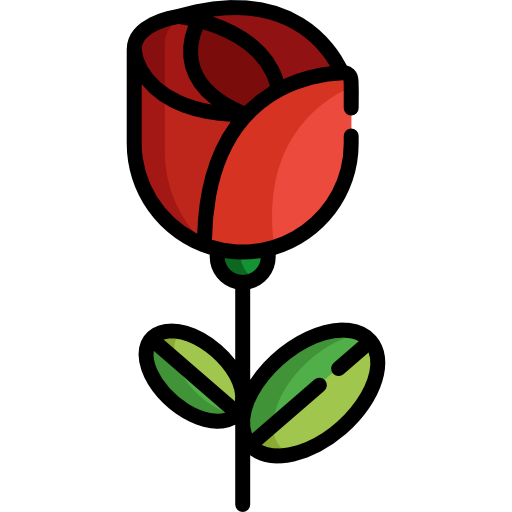 Wiki